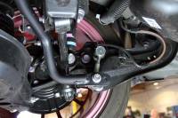 Progress Technology - Progress Tech 2019 Toyota Corolla/C-HR Rear Sway Bar (27mm - Adjustable) - Image 2