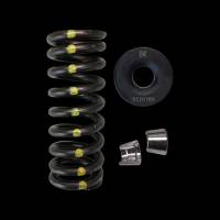 Brian Crower Honda L15B7 Spring & Steel Retainer Kit
