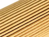 aFe Power (Advanced FLOW Engineering) - aFe Pro GUARD HD Oil Filter 15-17 Ford F-150 V6 2.7L (tt) - Image 5