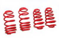 Megan Lowering Springs SAAB 93 04-11