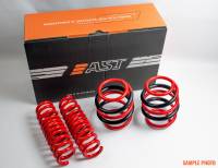 AST / MOTON Suspension - AST 2018+ Tesla Model 3 Long Range AWD Lowering Springs 40mm/40mm - Image 1