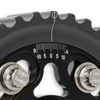 AEM Electronics - AEM 96-00 Honda Civic / 96-97 Honda Del Sol D16 Black Tru-Time Cam Gear - Image 2