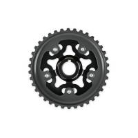 AEM Electronics - AEM 96-00 Honda Civic / 96-97 Honda Del Sol D16 Black Tru-Time Cam Gear - Image 4