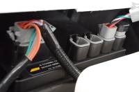 AEM Electronics - AEM 6 Channel CAN Sensor Module - Image 5