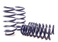 H&R - H&R 11-14 Dodge Challenger RT/SRT8 V8 Sport Spring (w/o Nivomat) - Image 2