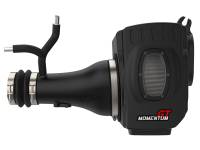aFe Power (Advanced FLOW Engineering) - aFe Momentum GT Pro DRY S Cold Air Intake System 17-18 Nissan Titan V8 5.6L - Image 4