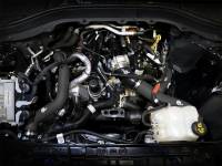 aFe Power (Advanced FLOW Engineering) - aFe 22-23 Ford Explorer BladeRunner Aluminum Hot and Cold Charge Pipe Kit - Blk - Image 6