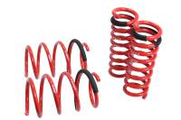 Megan Lowering Springs Mercedes-Benz W204 C-Class 08-14