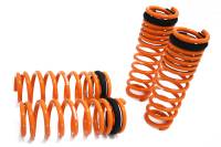 Megan Lowering Springs Honda 92-96, 97-01 Prelude