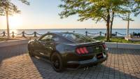CORSA Performance - Corsa 2015-2017 Ford Mustang GT 5.0 3in Cat Back Exhaust Polish Quad Tips (Sport) - Image 2
