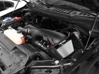 aFe Power (Advanced FLOW Engineering) - aFe MagnumFORCE Pro DRY S Stage-2 Intake System 16 Ford F-150 EcoBoost V6-2.7L/3.5L (tt) - Image 2
