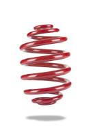 Pedders Suspension - Pedders 2004-2006 Pontiac GTO Rear Coil Spring Stock Height - Single - Image 1