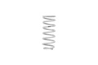 Eibach - Eibach Drag Launch Kit for 79-98 Ford Mustang Cobra Coupe / 79-04 Couple / 03-04 Mach 1 Coupe - Image 2