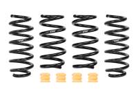 Eibach - Eibach Pro-Kit EV for 24-25 Tesla Model Y RWD - Image 1