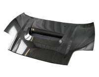 VIS Racing - VIS Racing Carbon Fiber Hood Type R Style for Acura NSX 2DR 02-05 - Image 1