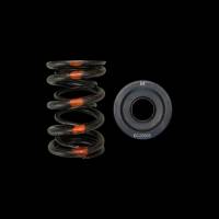 Brian Crower Honda/Acura B18A/B18B/B20B Dual Spring & Steel Retainer Kit