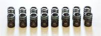 HKS - HKS 03-06 Lancer Evolution / 89-99 Eclipse / 90-93 Galant Turbo / 89-98 Eagle Talon Turbo Valve Spri - Image 1