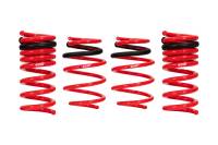Eibach Pro-Kit for 2015+ Dodge Charger Scat Pack / Hellcat