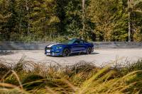 CORSA Performance - Corsa 2015-2020 Ford Mustang GT350/R 5.2L V8 Dual Rear Cat-Back- Stainless Dual Rear Exit - Image 2