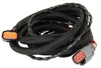 MSD Ignition - MSD Harness, Ford (E40D 95-97) - Image 1
