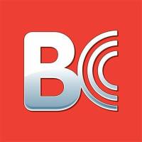 Brian Crower - Brian Crower Honda B16A/B18C/B17A/H22A VTec 5.5mm Intake Valve Guides (Quantity of 8) - Image 2