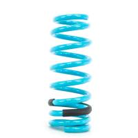 Godspeed Project - Godspeed Project Traction-S Lowering Springs Infiniti G37 Sedan (V37) 2009-2013 AWD - Image 3