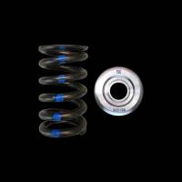 Brian Crower Dodge SRT-4/PT Cruiser (Triple Groove Keeper/Valve) Single Spring & Titanium Retainer K
